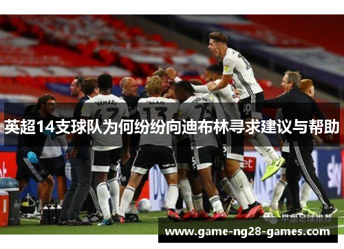 英超14支球队为何纷纷向迪布林寻求建议与帮助